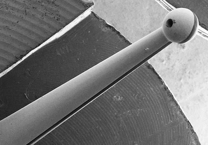 Tweezers for Microsurgery